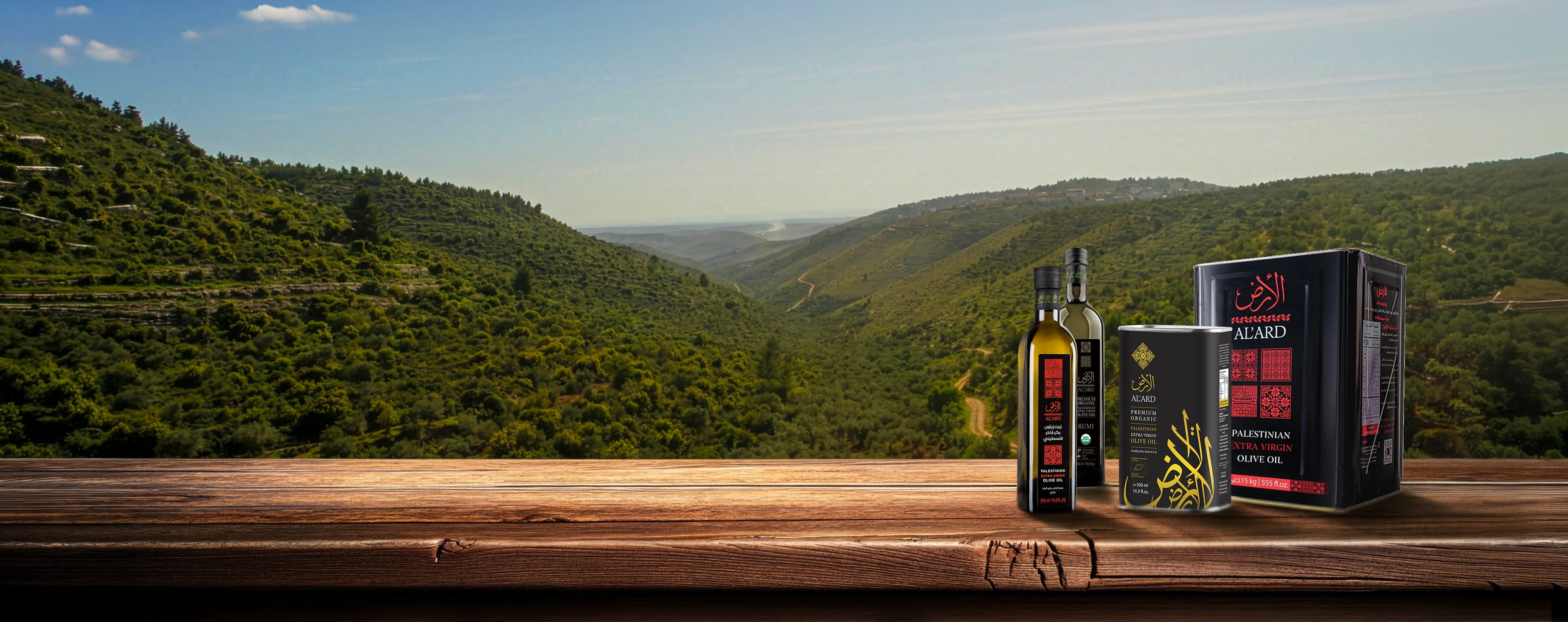 Palestinian Olive Oil